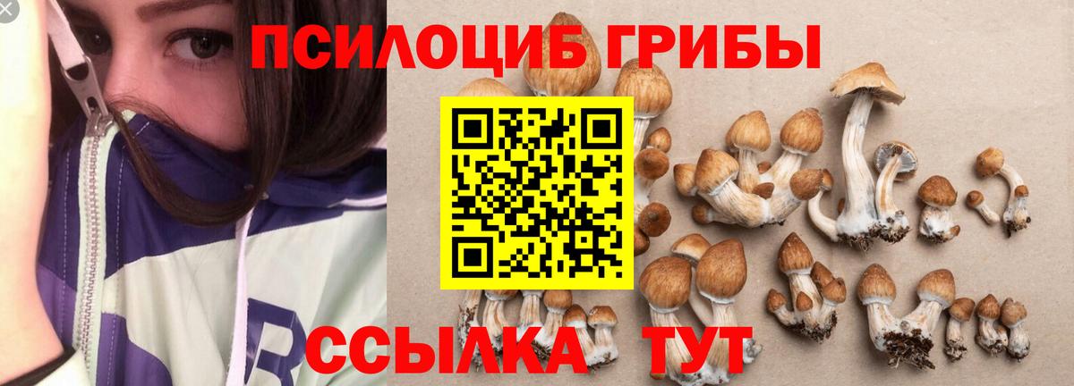 Галлюциногенные грибы мухоморы Губкин