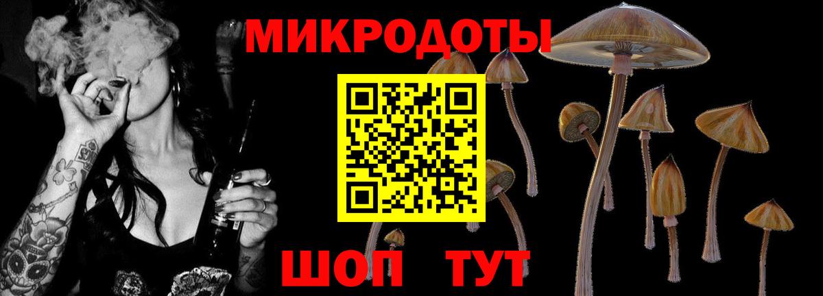 Губкин  Псилоцибиновые грибы Magic Shrooms  Галлюциногенные грибы ЛСД  Вход с VPN 