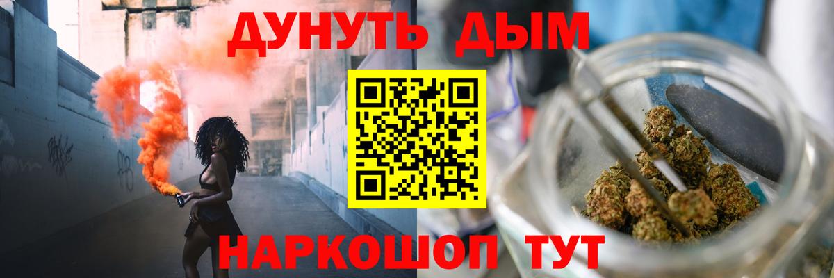 Канабис планчик Губкин